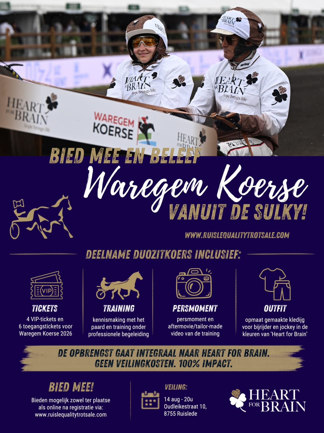 Bied mee en beleef Waregem vanuit de Sulky