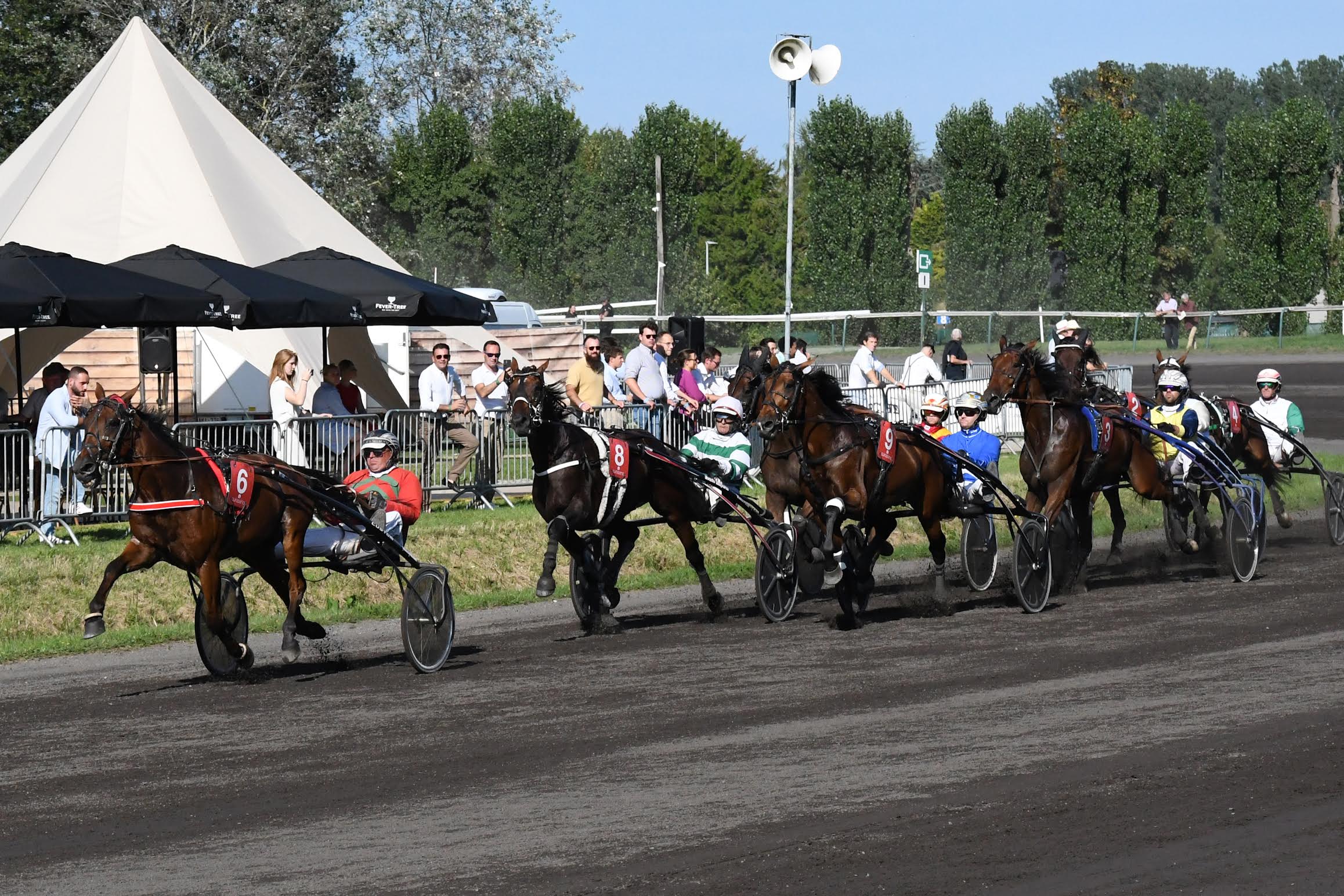 Catalogue Ruislé Quality Trot Sale 2026