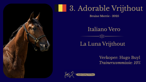 3. Adorable Vrijthout (BE)
