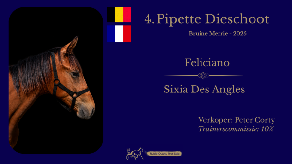 4. Pipette Dieschoot (BE/FR)