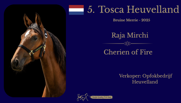 5. Tosca Heuvelland (NED)