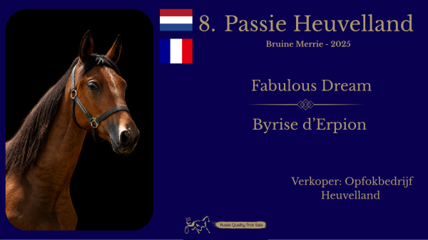 8. Passie Heuvelland (FRA)