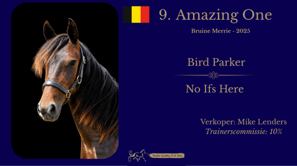 9. Amazing One (BE)