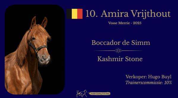 10. Amira Vrijthout (BE)