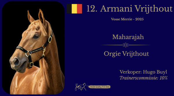 12. Armani Vrijthout (BE)