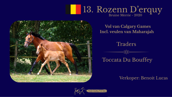 13. Rozenn D'erquy (incl. veulen) (BE)