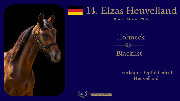 14. Elzas Heuvelland (GER)