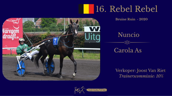 16. Rebel Rebel (BE)
