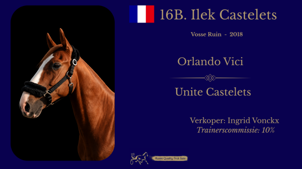 16B. Ilek Castelets (FR)