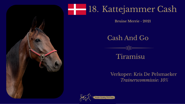 18. Kattejammer Cash (DK)