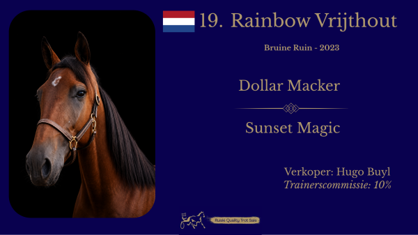 19. Rainbow Vrijthout (NL)