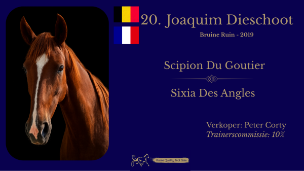 20. Joaquim Dieschoot (BE/FR)