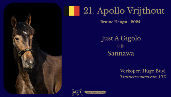 21. Apollo Vrijthout (BE)
