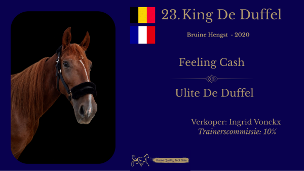23. King De Duffel (BE/FR)