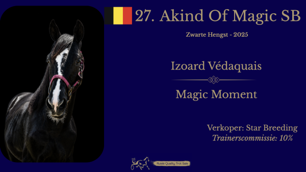 27. Akind Of Magic SB (BE)