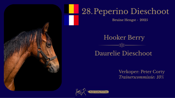 28. Peperino Dieschoot (BE/FR)